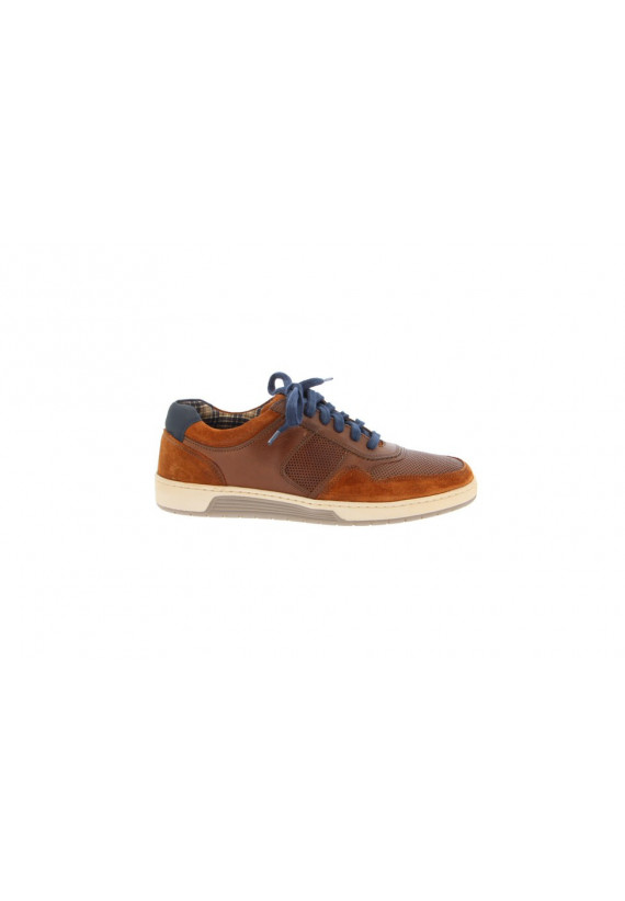 Chaussures Cypres NEW EDDY 14 NEW EDDY 14 Hommes Lacets MULTI BRUN