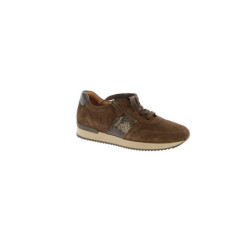 Chaussures GABOR 6019.01 6019.01 Dames Lacets MARRON